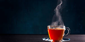 © olegkoval - Fotolia.com